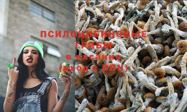 кокаин перу Алексин